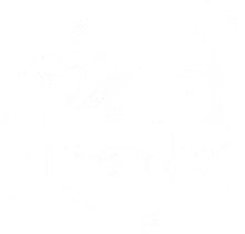 Go Local TV - 225 Trade